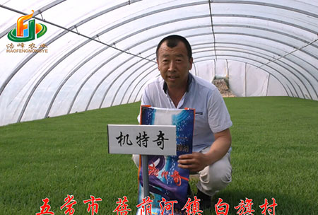 五常(chang)市-揹廕河-用(yong)戶迴(hui)訪視頻(pin)