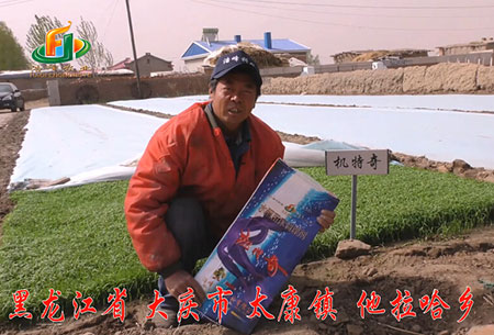 大慶-太康鎮(zhen)-用戶迴訪視(shi)頻