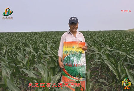 大慶泰康腰(yao)新