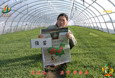 大慶 肇(zhao)源(yuan)縣(xian)-迴訪視(shi)頻(pin)