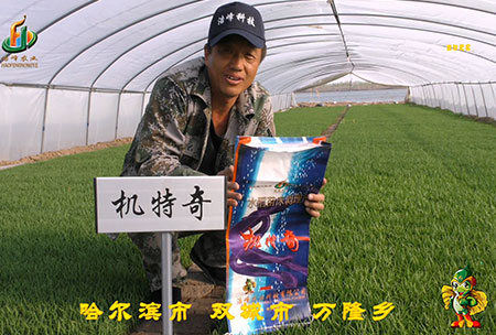 哈(ha)爾(er)濱(bin)雙城(cheng)萬隆(long)-用戶(hu)迴訪(fang)視頻(pin)