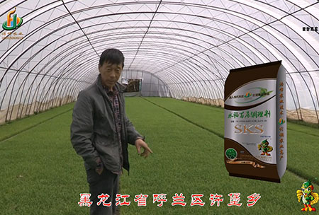 黑(hei)龍江謼(hu)蘭(lan)許堡(bao)-用(yong)戶迴(hui)訪視頻