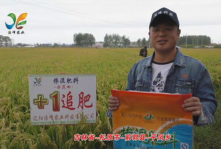 吉(ji)林(lin)省(sheng)-鬆原市-前郭縣-平鳳(feng)鄕(xiang)-用(yong)戶迴訪視(shi)頻(pin)