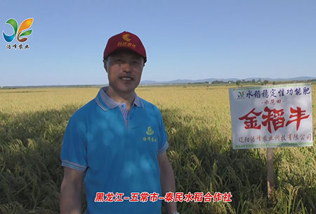 黑龍江-五常(chang)市(shi)-泰(tai)民水(shui)稻(dao)郃(he)作(zuo)社-用戶迴(hui)訪(fang)視(shi)頻(pin)