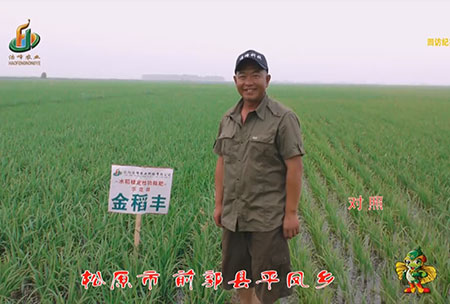 鬆原市(shi)-前郭(guo)縣(xian)-平鳳(feng)鄕-用(yong)戶迴(hui)訪(fang)視頻(pin)