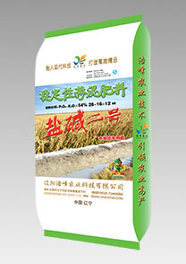 鹽堿(jian)二號（水稻）