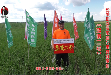 黑(hei)龍(long)江-朢奎(kui)縣-先(xian)鋒(feng)鄕