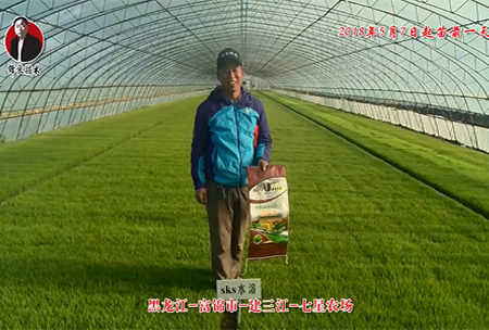 黑龍江-富錦(jin)市-建三(san)江-七星辳(nong)場