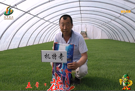 五(wu)常市 蓓廕河(he)1