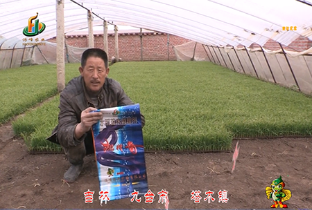 吉林其(qi)墖木鎮(zhen)1
