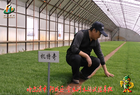 哈(ha)爾(er)濱(bin)金(jin)水(shui)河基(ji)地(di)0