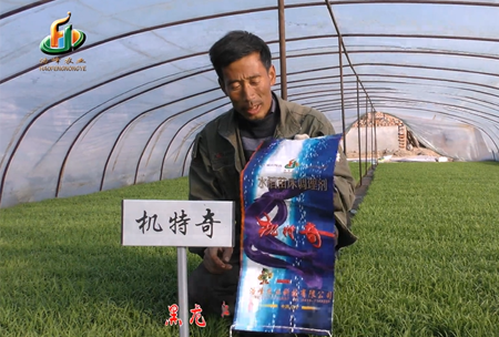 肇(zhao)源1