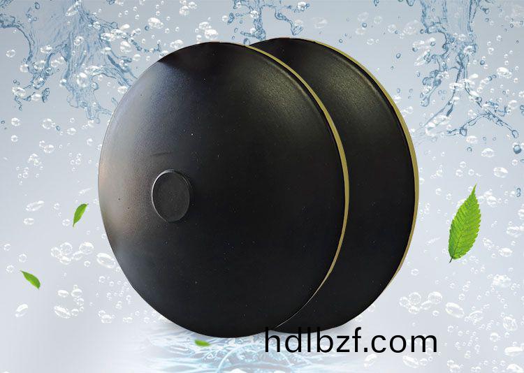 BPB薄(bao)盤型盤式曝氣器